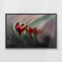 PK-093W062