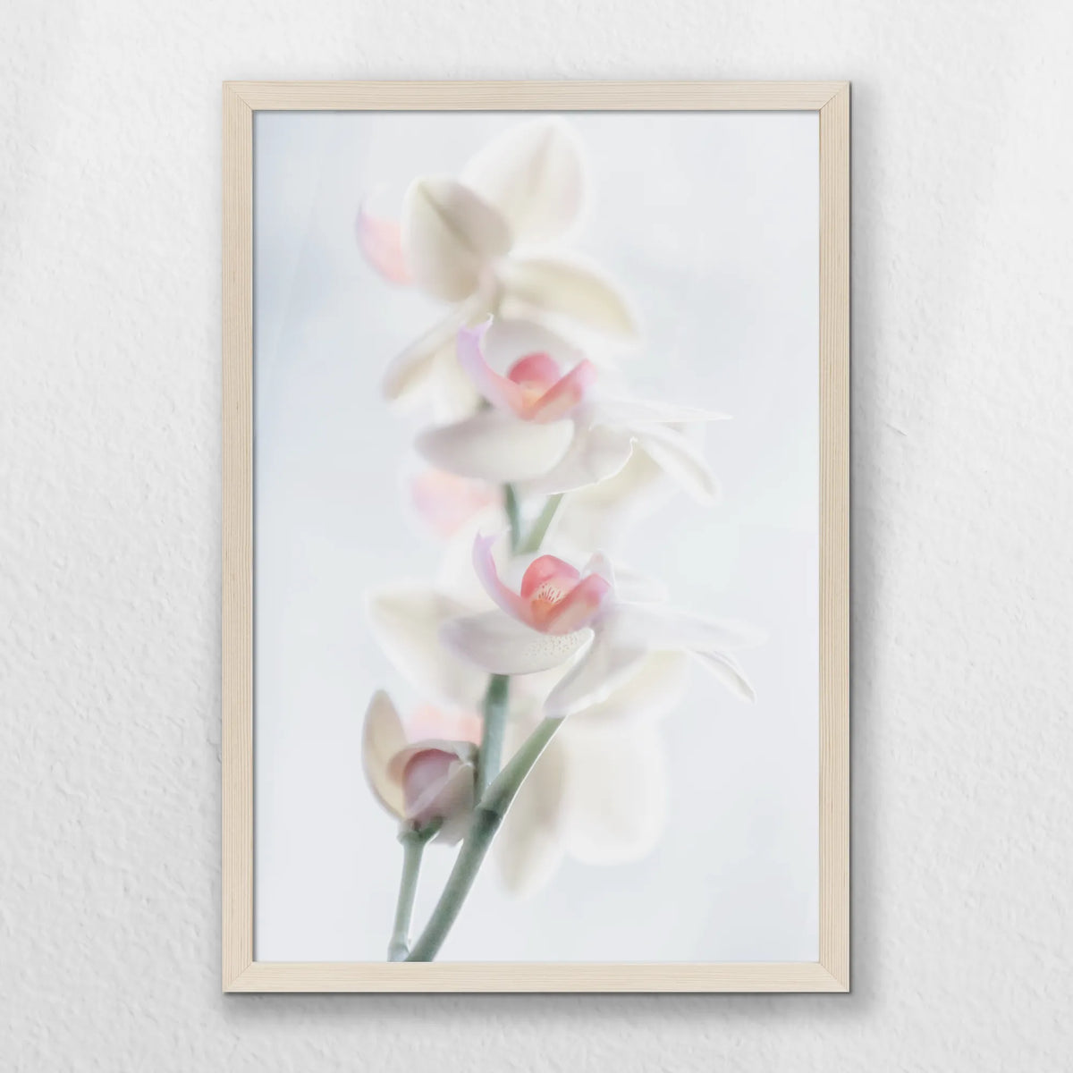 PN-040W060