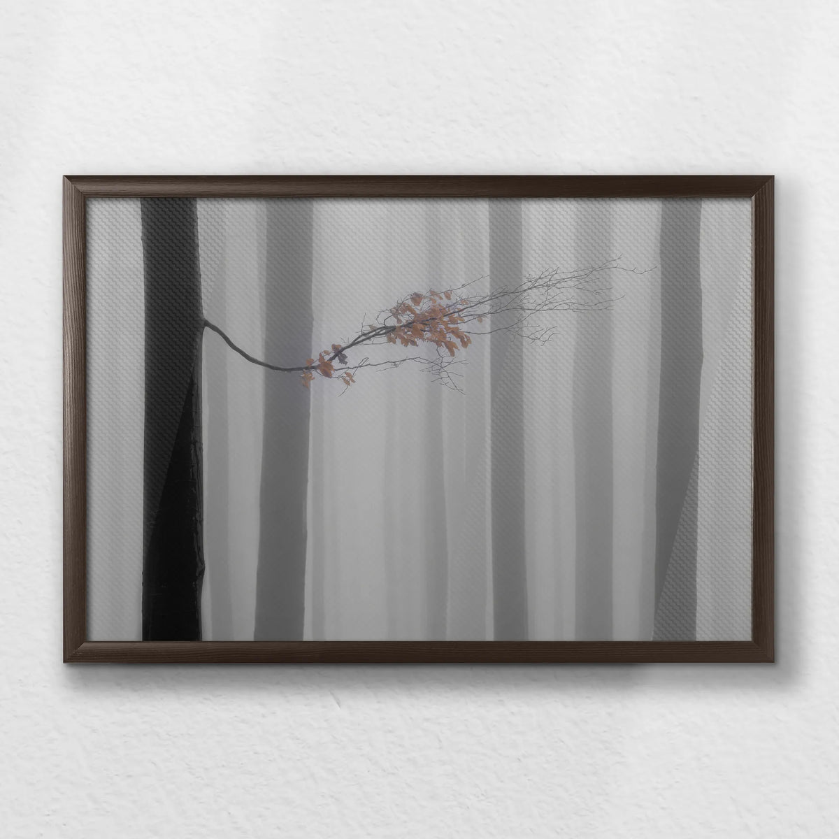 LWN060W040
