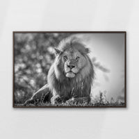 LWN120W080
