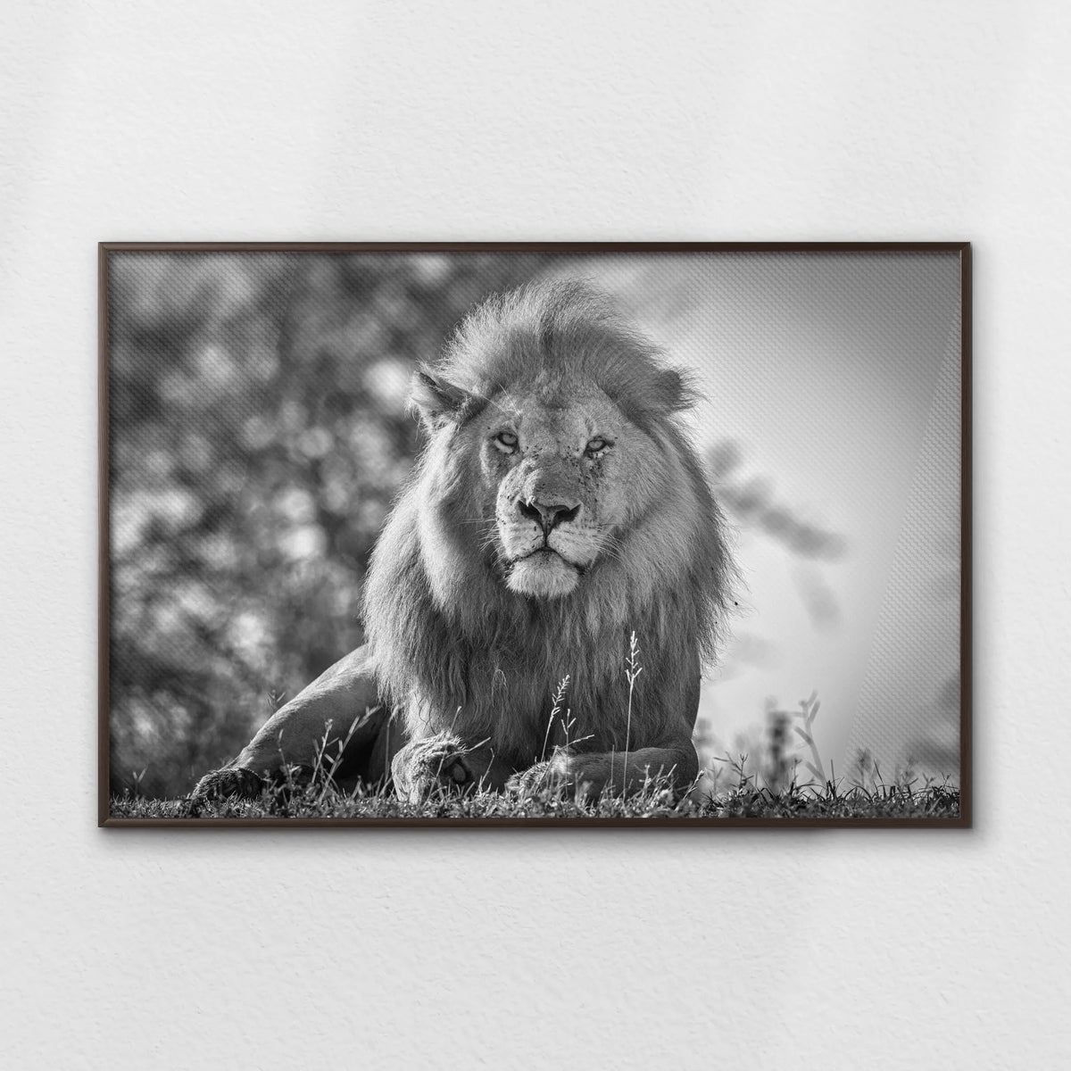 LWN120W080