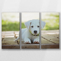 LW-060R040