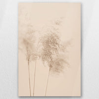 AC-050W075