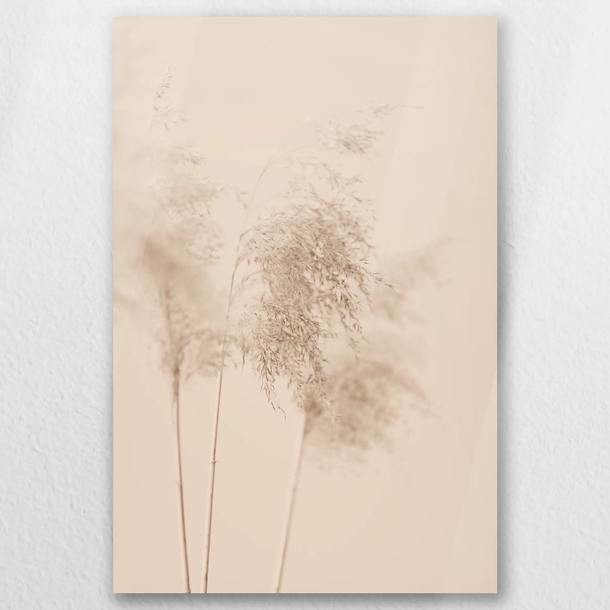 AC-050W075