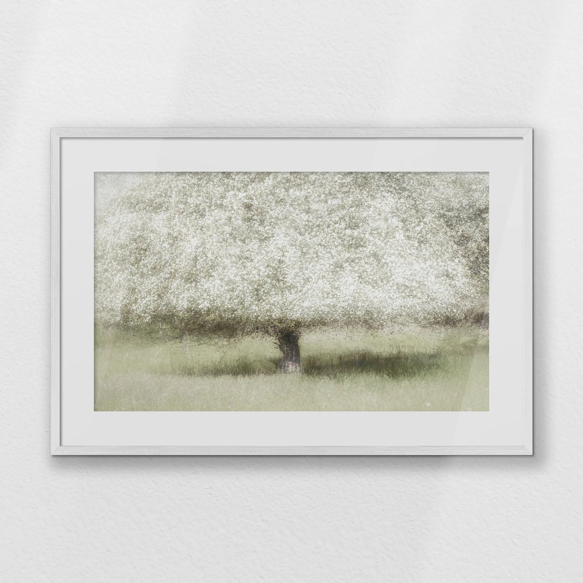 PWP093W062