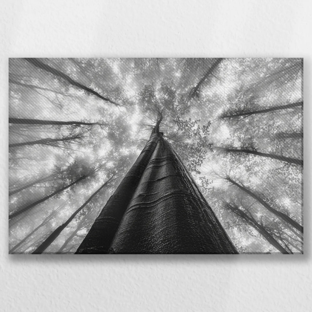 LW-045W030
