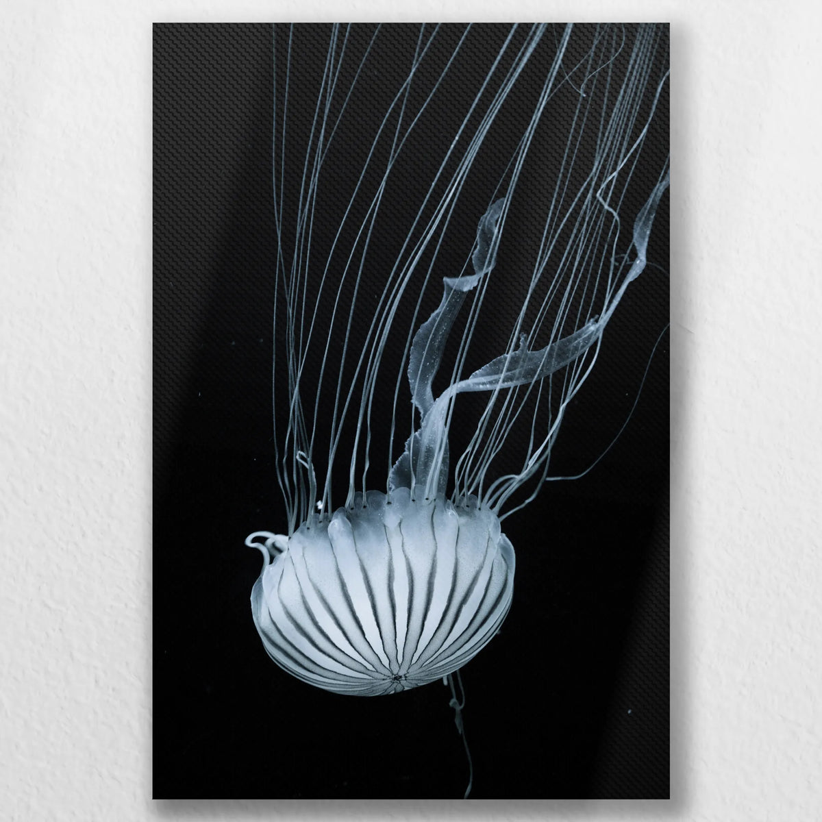 LW-030W045