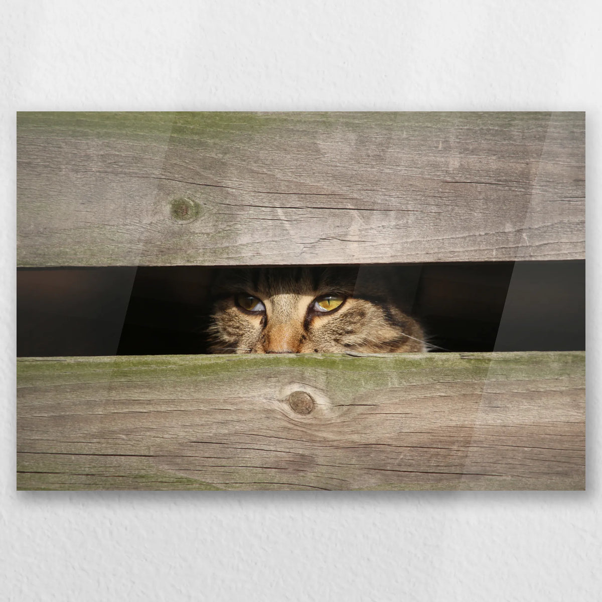 AC-045W030