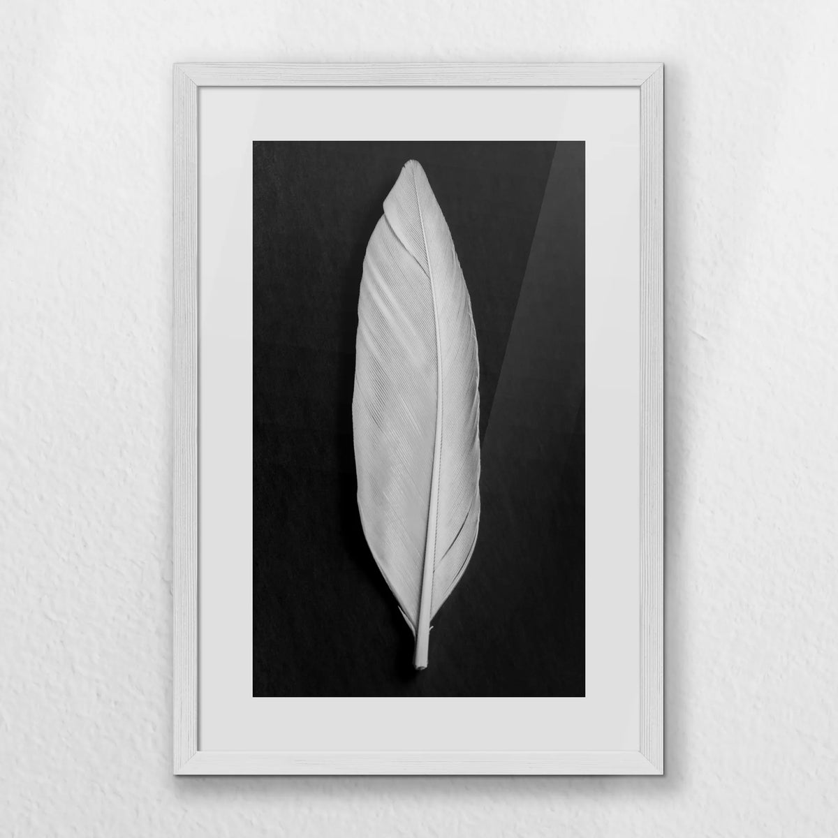 PWP040W060