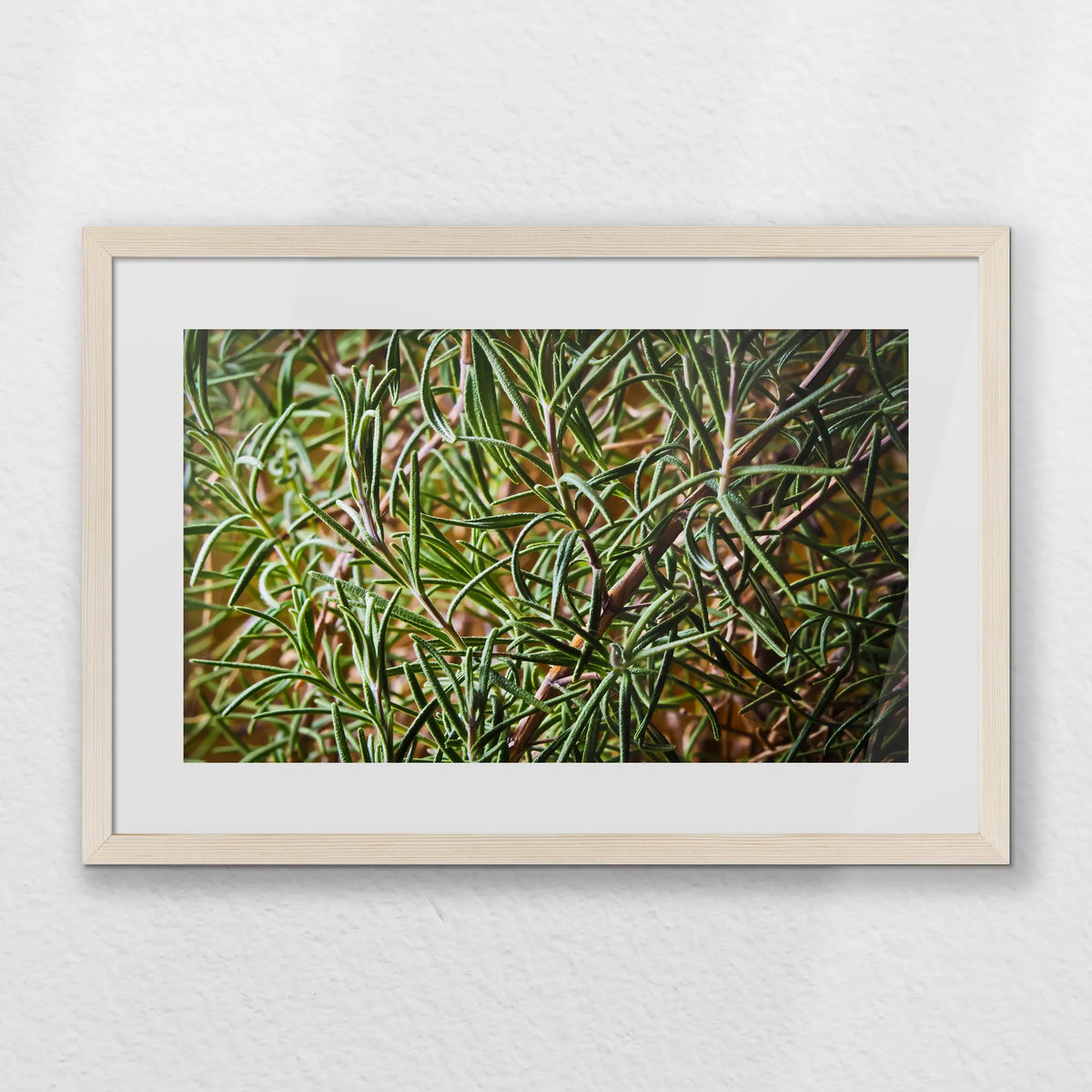 PNP060W040