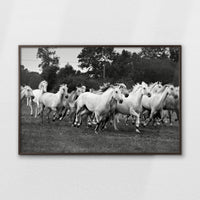 LWN120W080