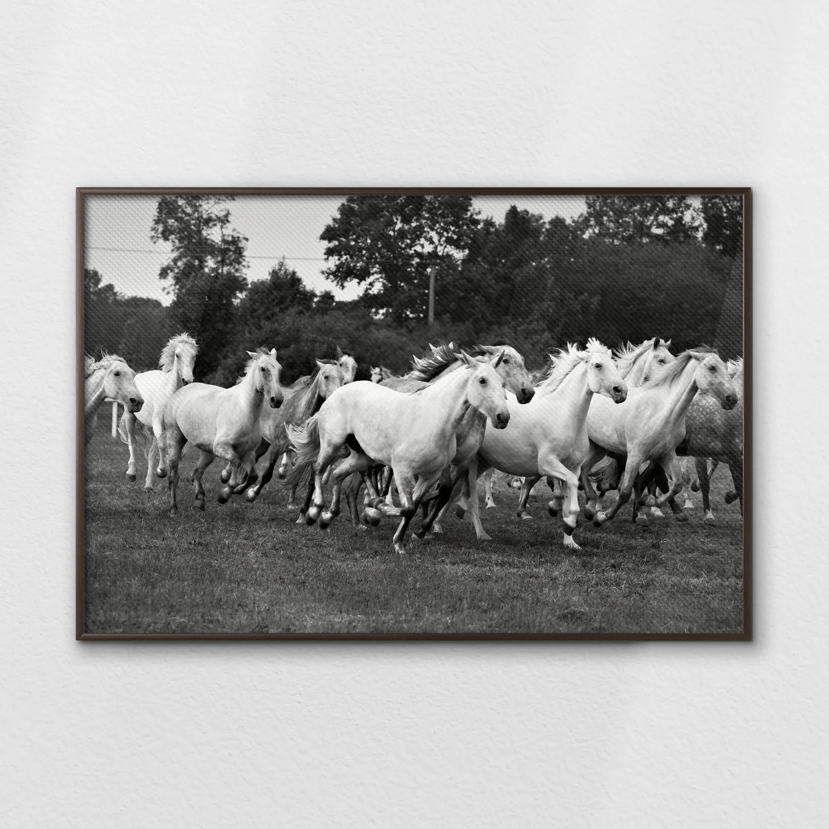 LWN120W080