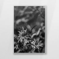 PS-062W093