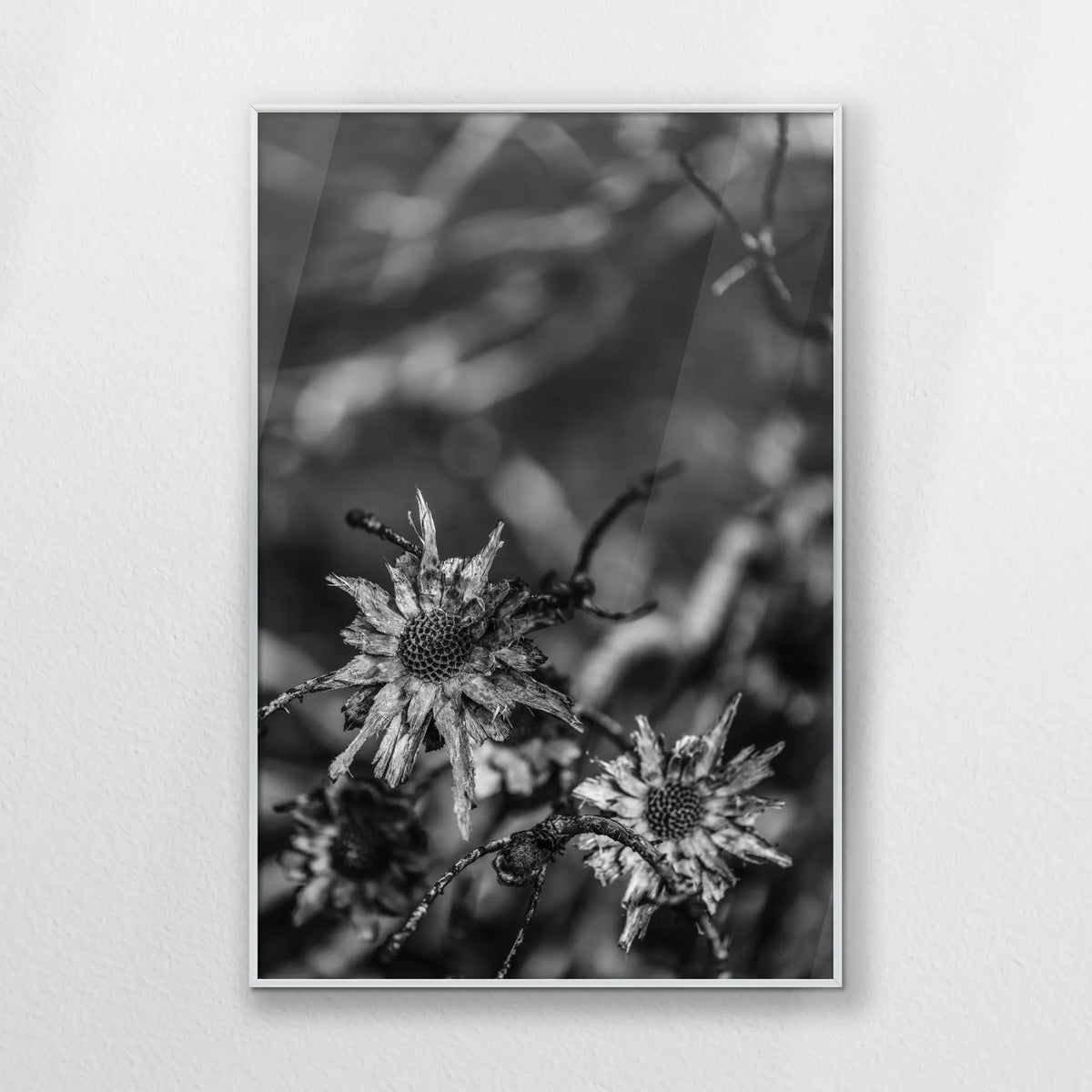 PS-062W093