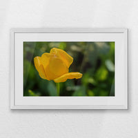 PWP060W040