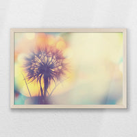 PN-060W040