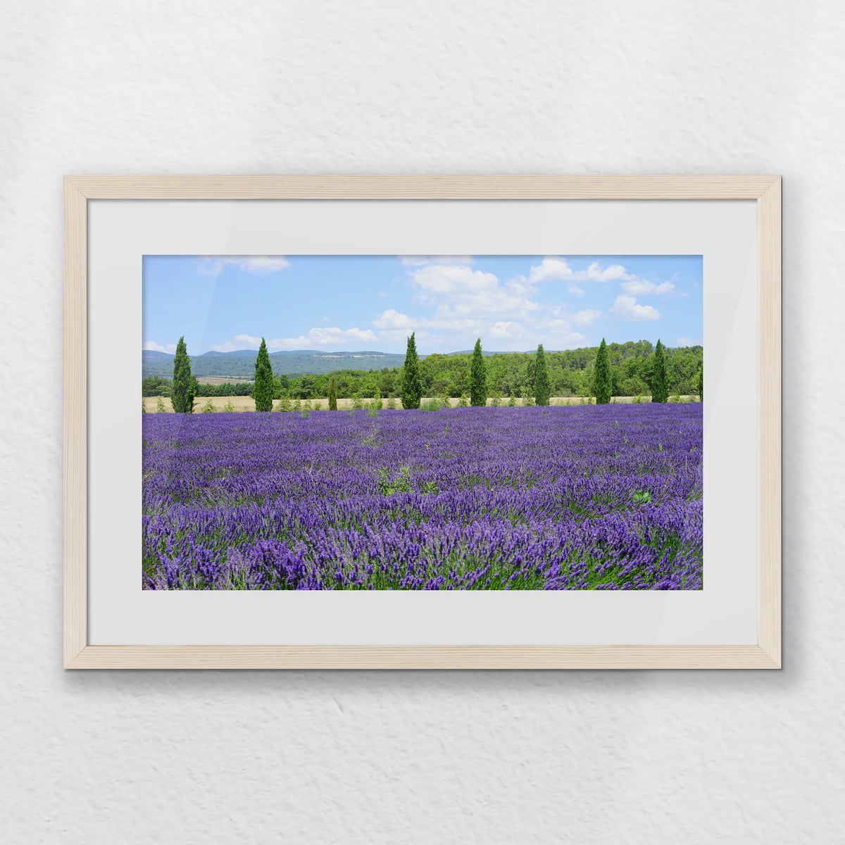 PNP060W040