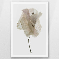 AC-040W060