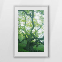 PWP062W093