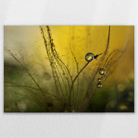 LW-120W080