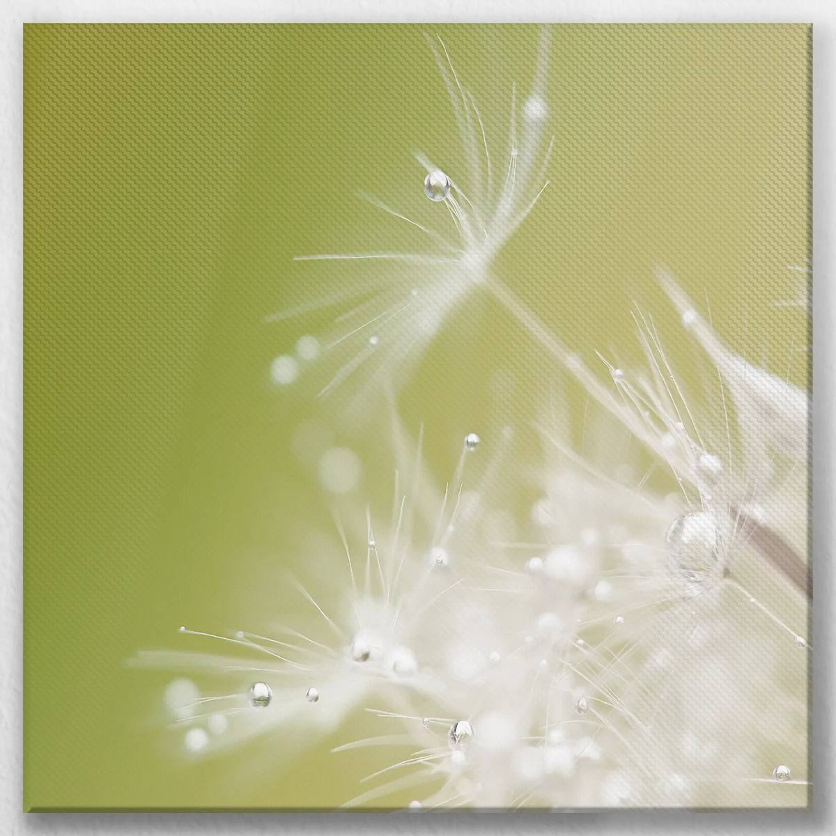 LW-040W040