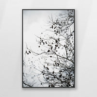 PB-062W093