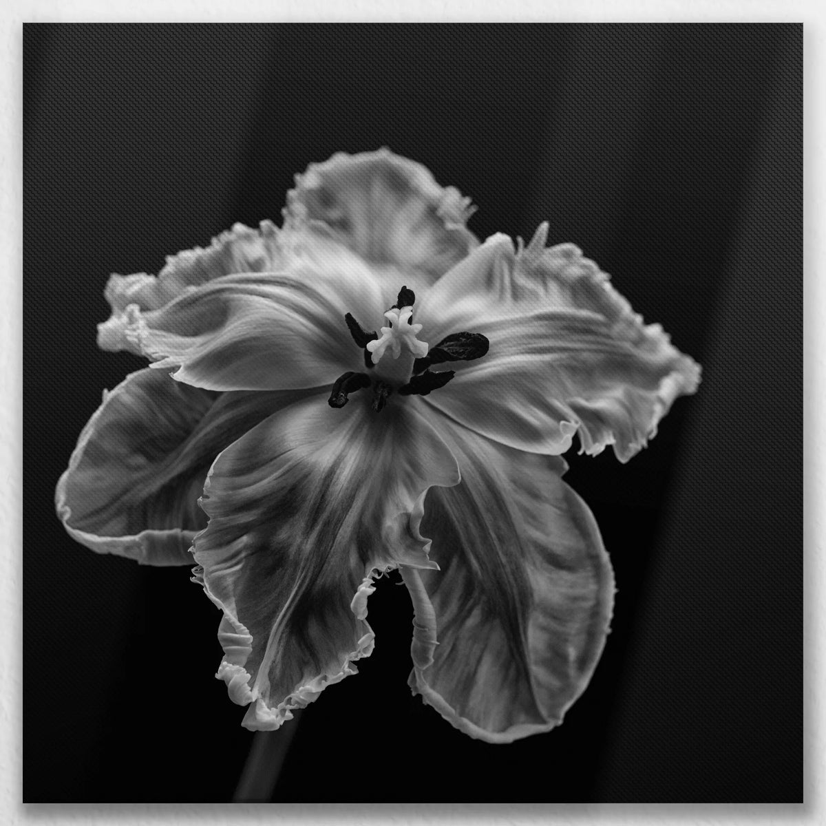 LW-090W090