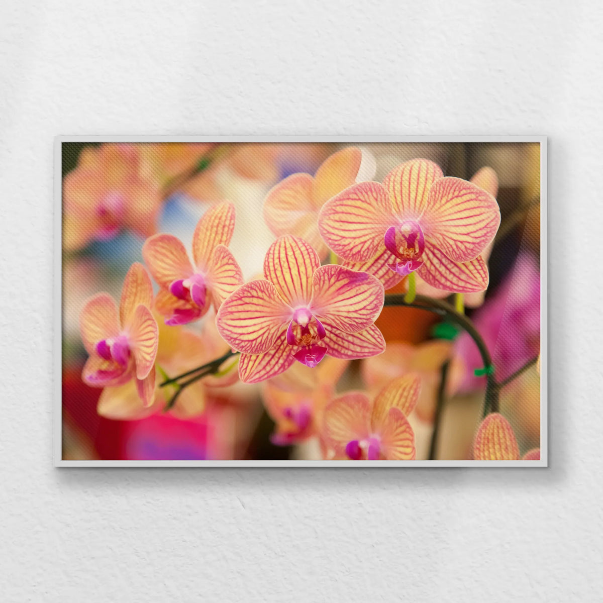 LWW120W080