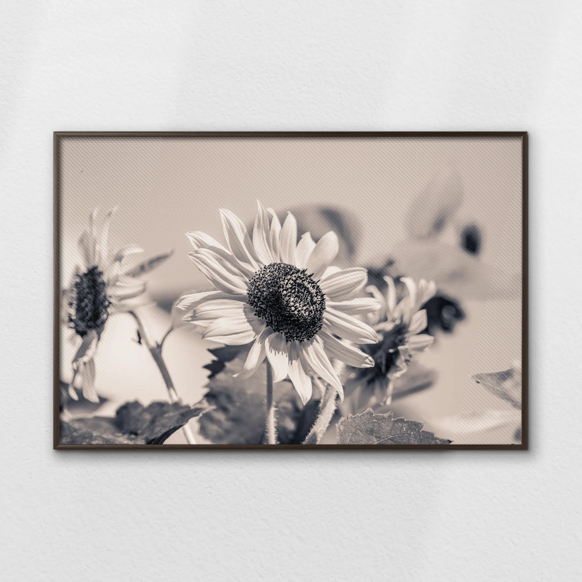 LWN120W080