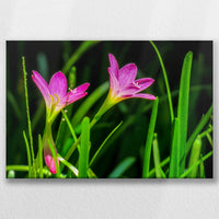 LW-030W020