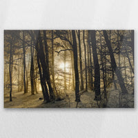AL-050W030
