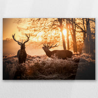 AC-045W030