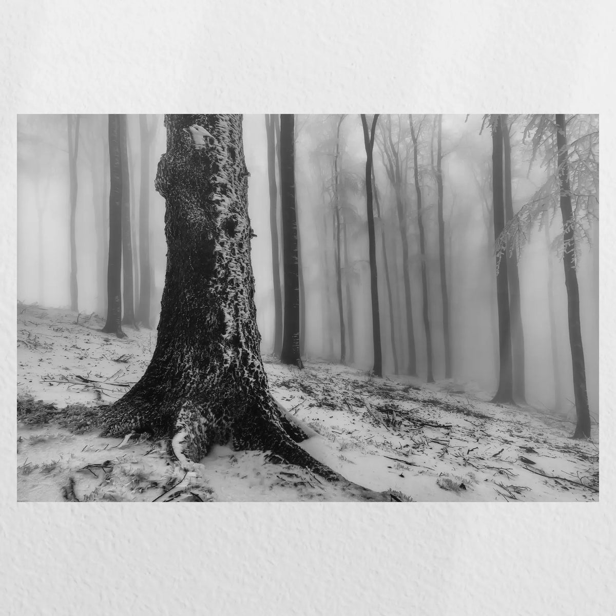 PO-060W040