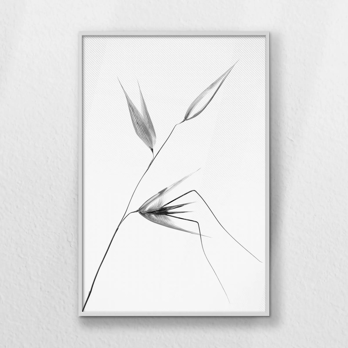 LWW080W120