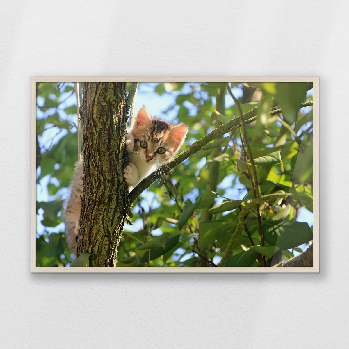PN-093W062