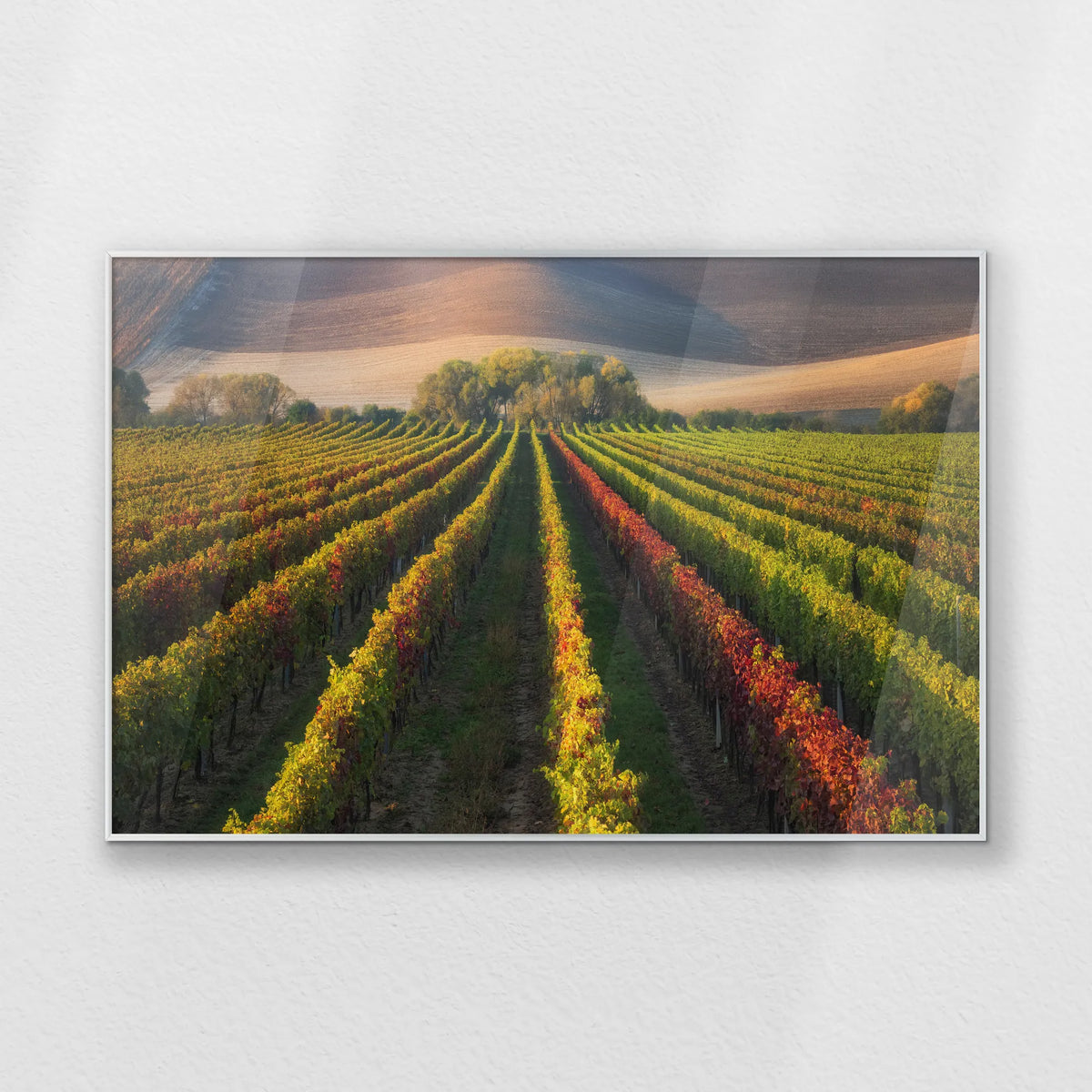PS-100W070