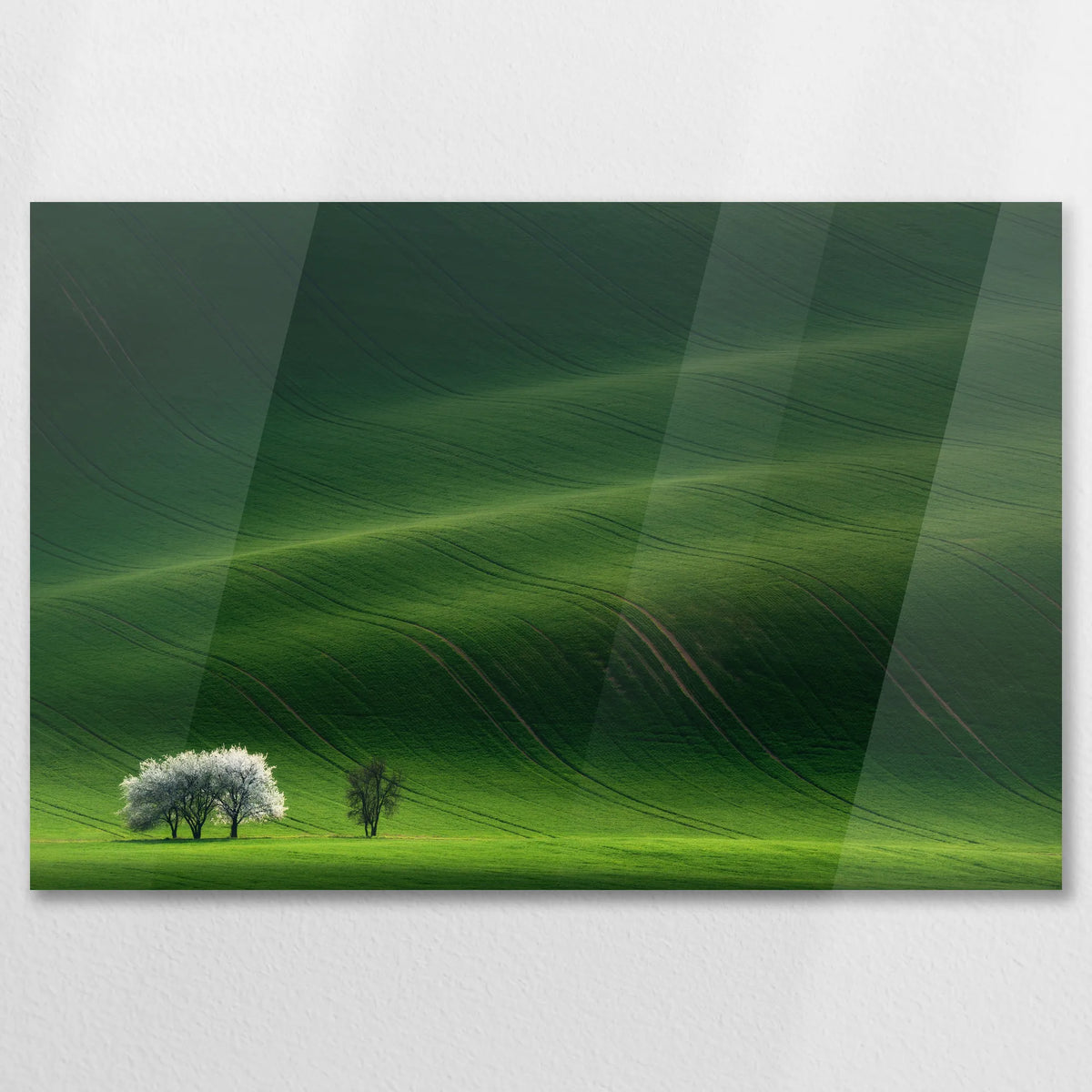 AC-075W050