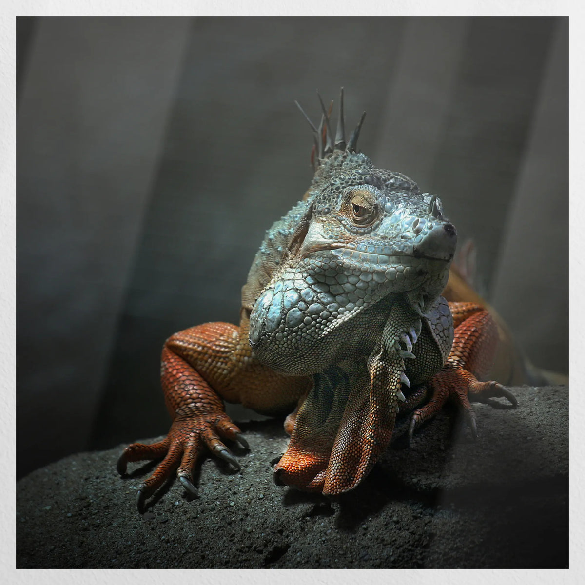 PO-090W090