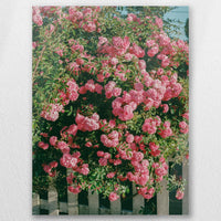 AC-045W060
