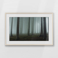 PNP093W062