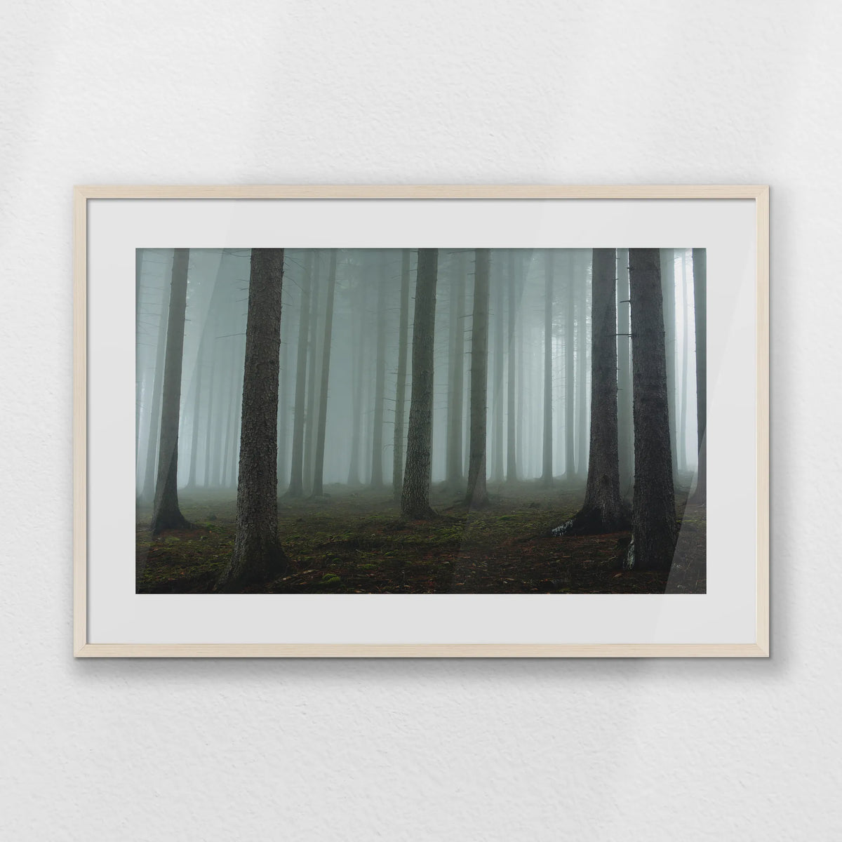 PNP093W062