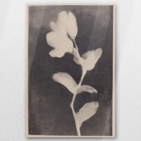 AC-050W075