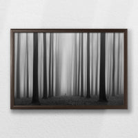 LWN060W040
