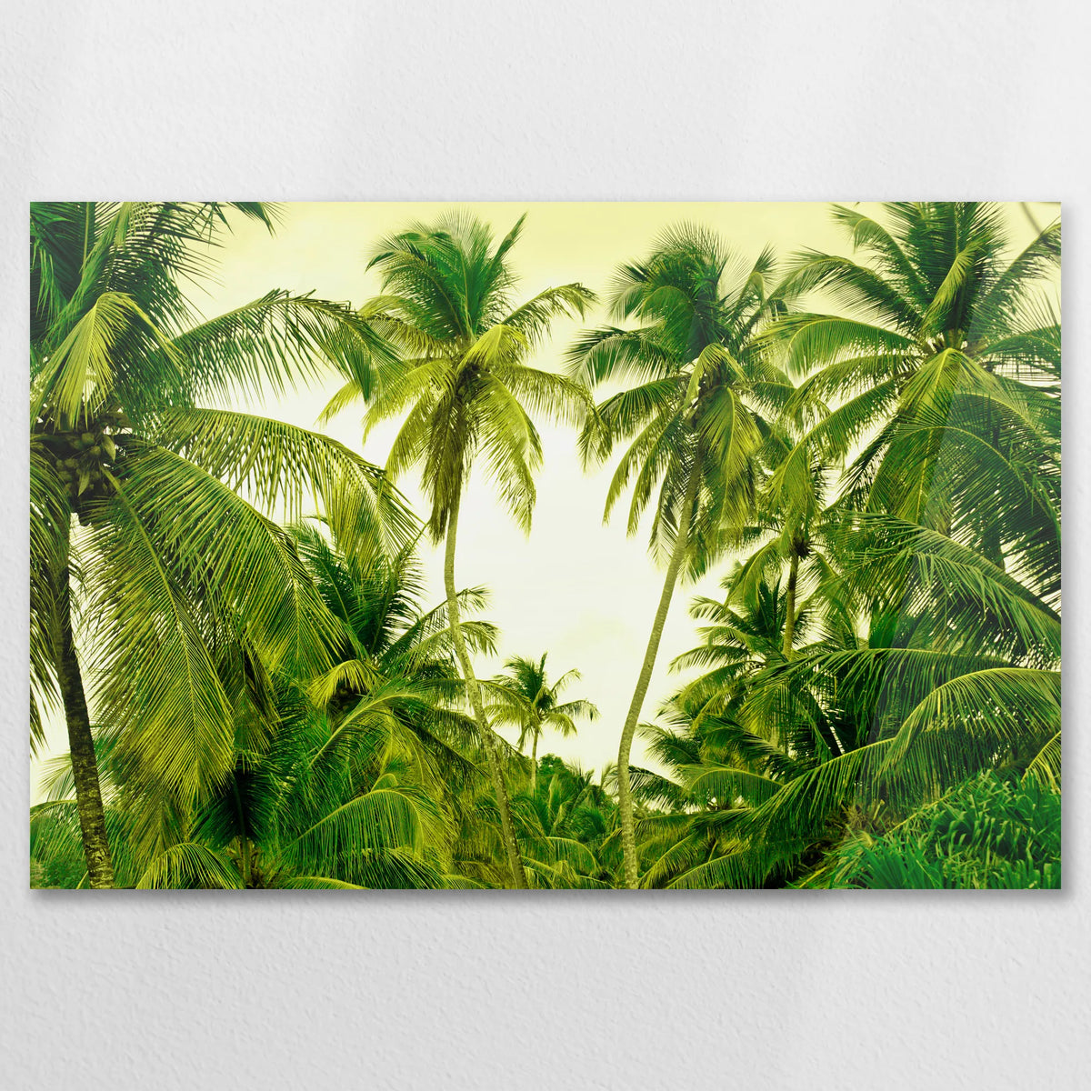 AC-075W050