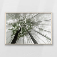 PN-093W062