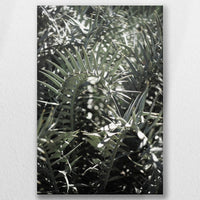 LW-050W075
