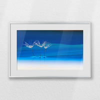 PSP060W040