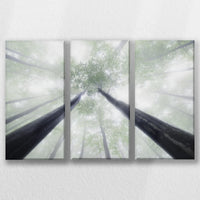 LW-060R040