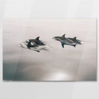 AC-090W060