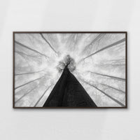 LWN120W080